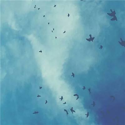 半岛网页版app下载