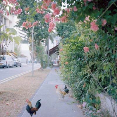 江南体育网页版