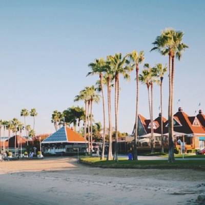 BOB·体育综合(综合)APP下载安装