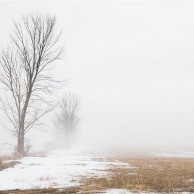 棋牌娱乐www官方网址入口最新版本