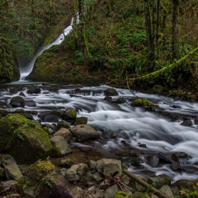 BSport·APP在线登录下载手机版